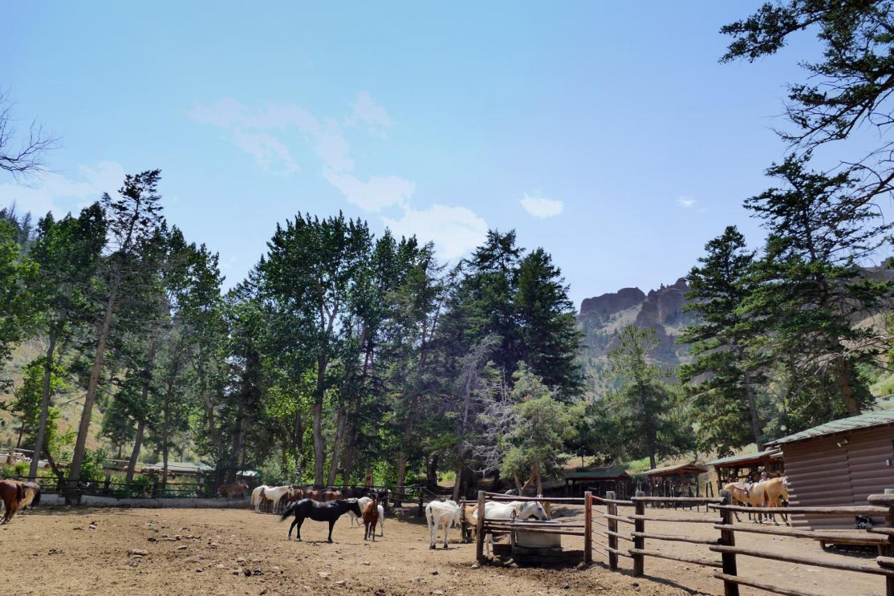 Bill Cody Ranch Hotel Ngoại thất bức ảnh